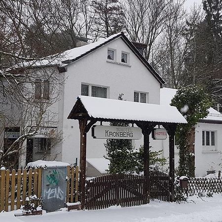 Hotel Kronberg Kronberg im Taunus Bagian luar foto